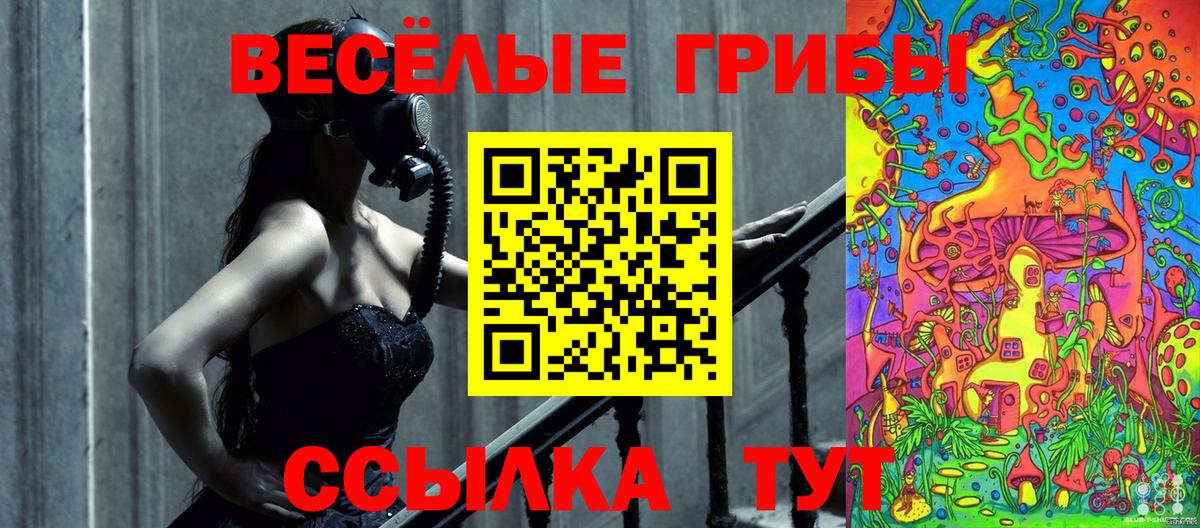 где купить наркоту  Псилоцибиновые грибы Psilocybe  Вход с VPN  Губаха 